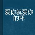 爱你就爱你的坏