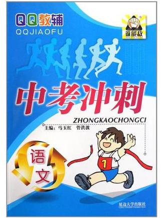语文/中考冲刺