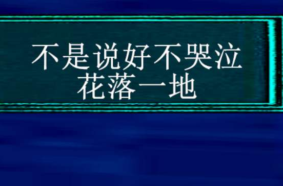 不是说好不哭泣花落一地