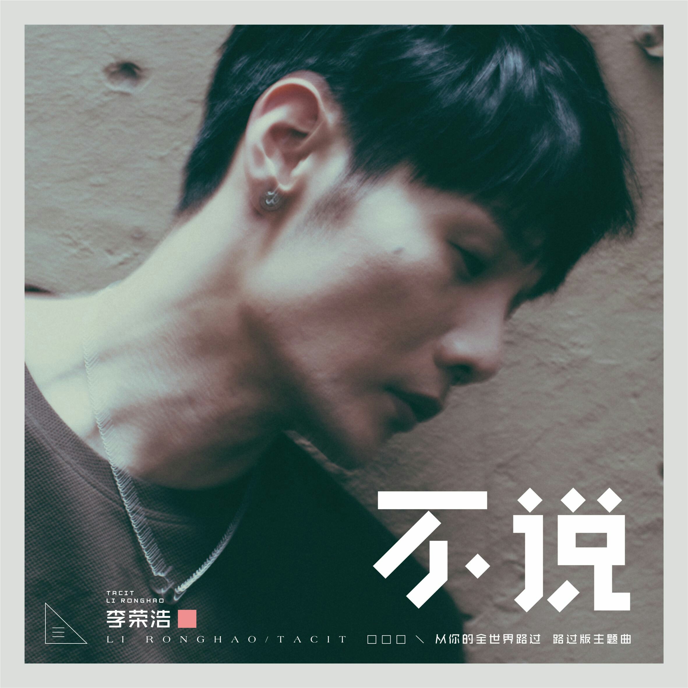 不说(李荣浩演唱歌曲)