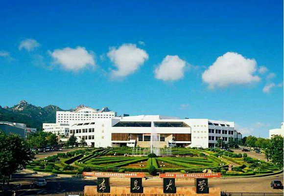 青岛大学複杂性科学研究所