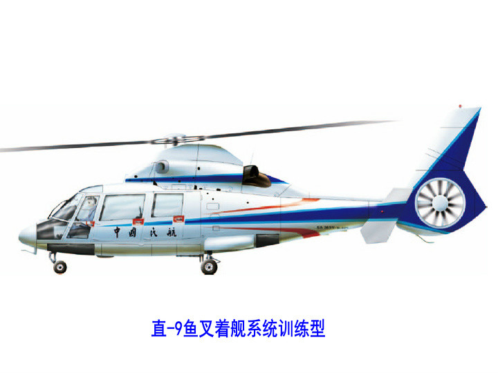 直-9鱼叉着舰系统训练型 直-9鱼叉着舰系统训练型