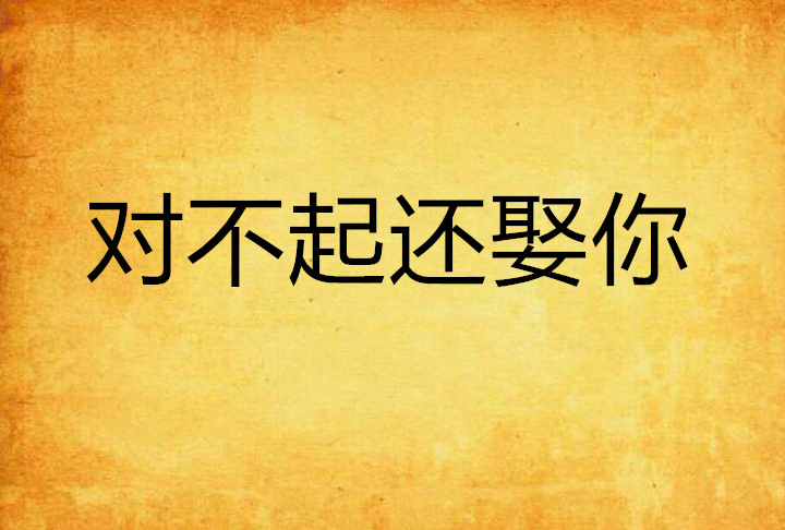对不起还娶你