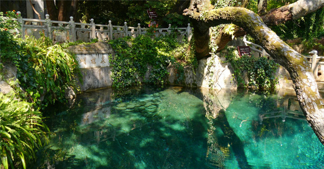蝴 蝶泉 蝴 蝶泉