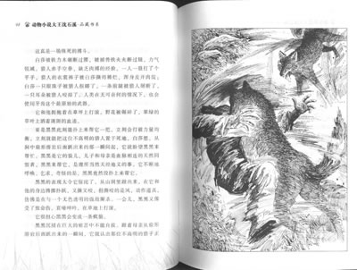 兵猴传奇 兵猴传奇