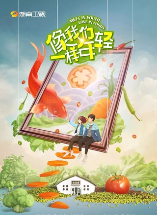 杨菲洋