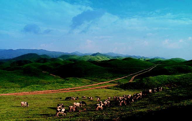 南山风景名胜区(嵊州南山风景名胜区)