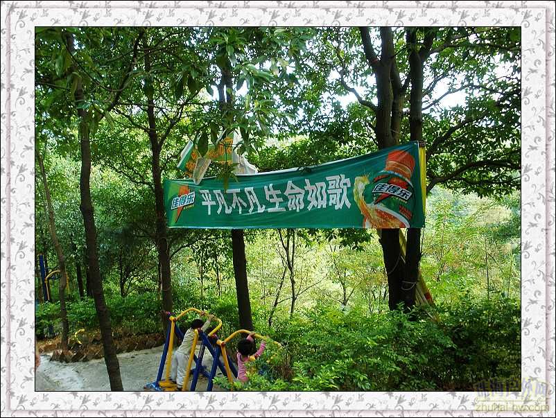 百岁山