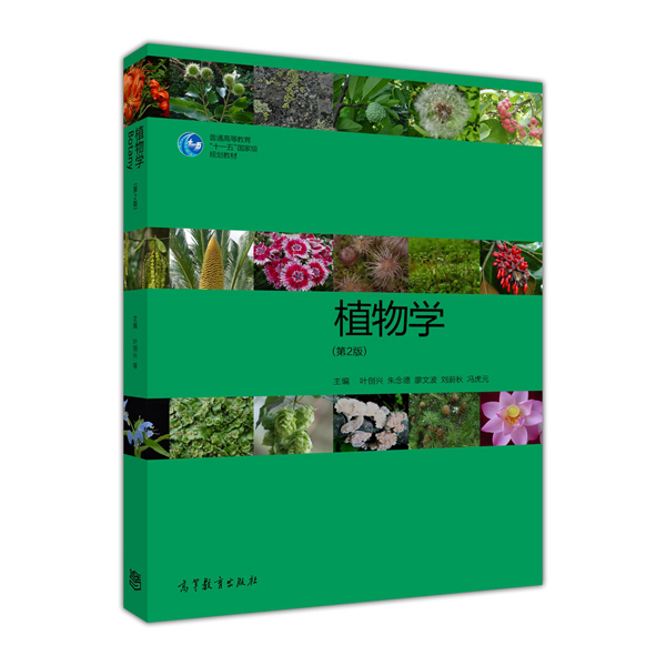 植物学（第2版）(植物学第二版)