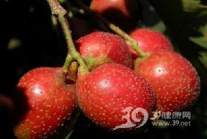 刘杜镇 刘杜镇