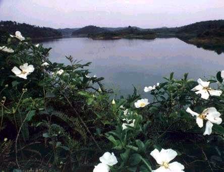 罗山水库