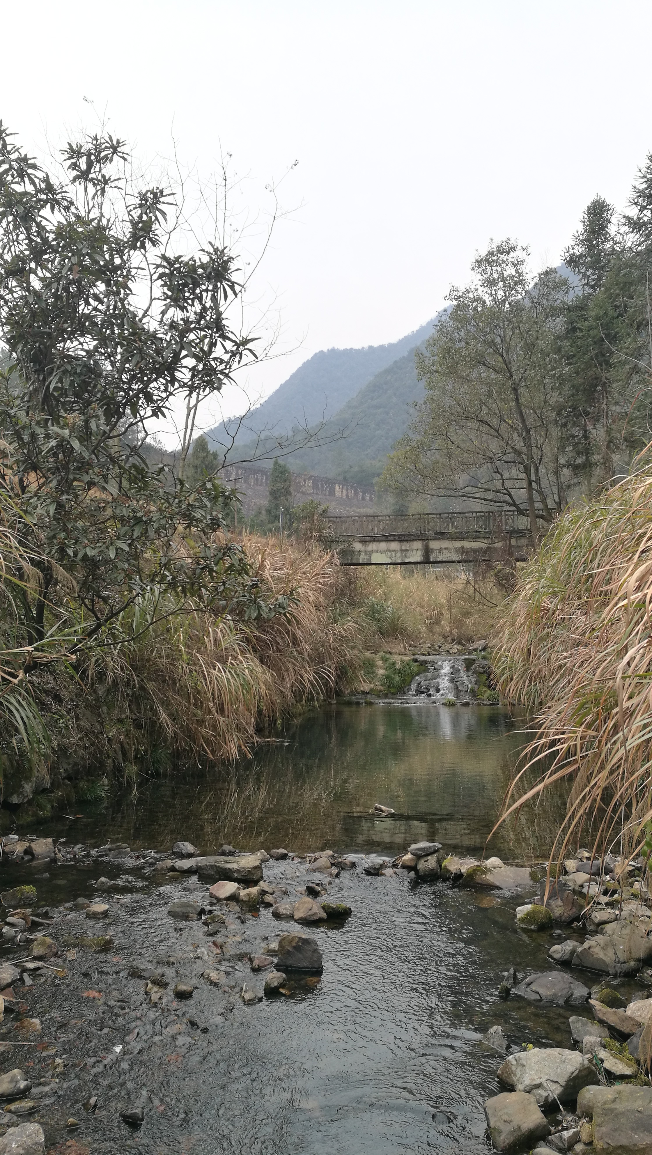 石鼓水库 石鼓水库