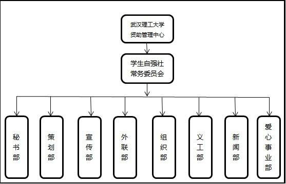 社团组织结构 社团组织结构
