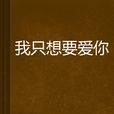 我只想要爱你