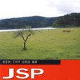 JSP从入门到精通