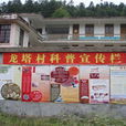 龙塔村