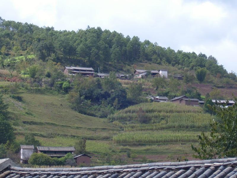 大罗山村 大罗山村