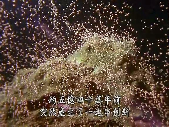 时空大冒险 时空大冒险
