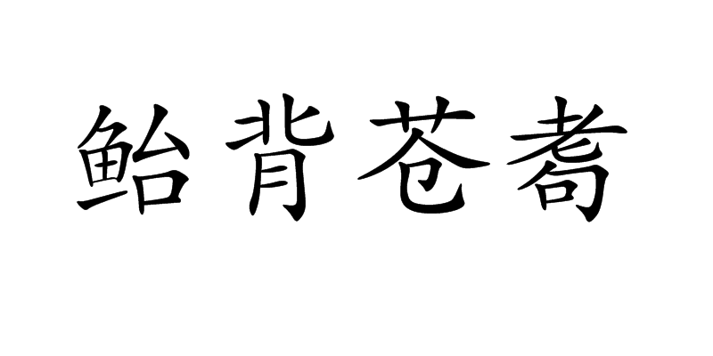鲐背苍耈