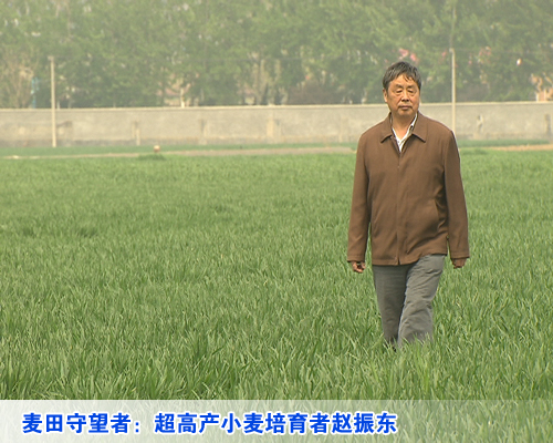 赵振东 赵振东