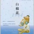 天天典藏：白棉花