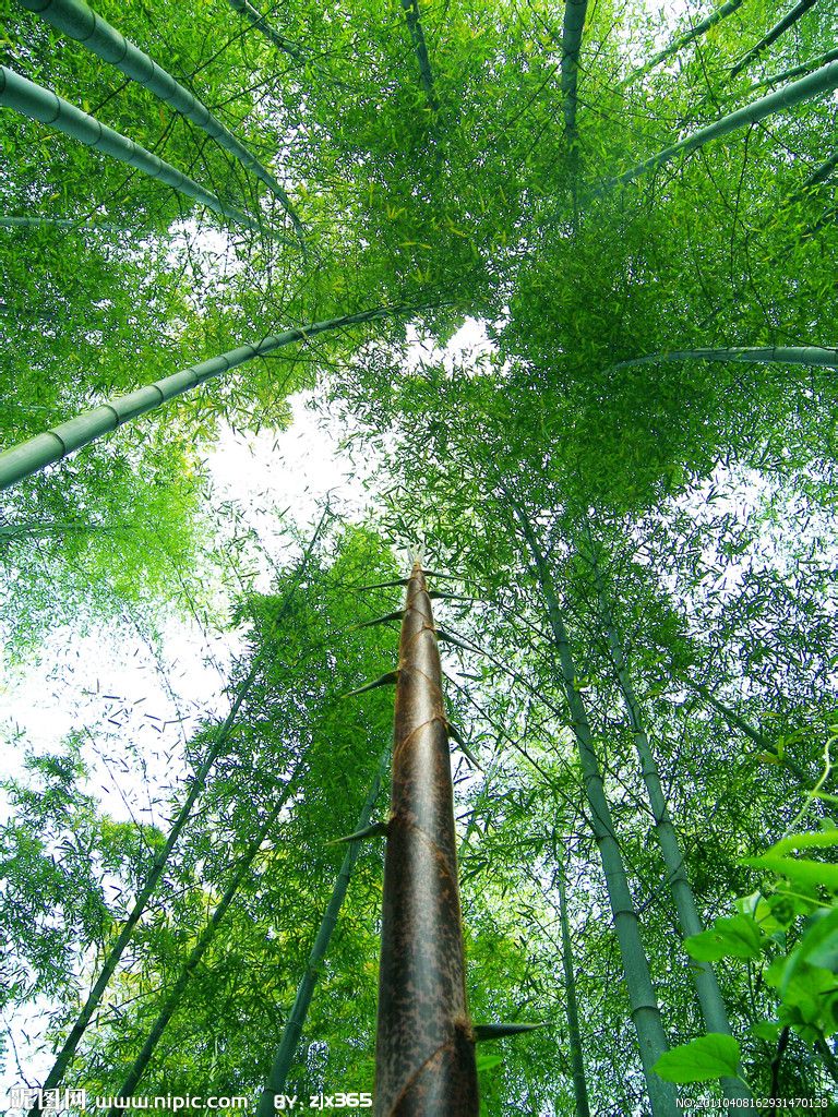 药山村(湖南省津市市药山镇药山村) 药山村(湖南省津市市药山镇药山村)