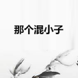 那个混小子
