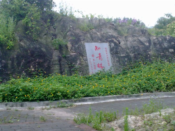 石马桃花公园 石马桃花公园