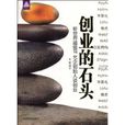创业的石头：听世界超级IT名企创始人谈创业(创业的石头)