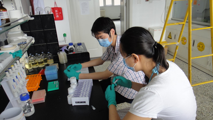 iGEM iGEM