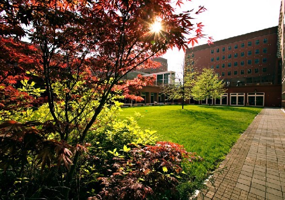 米兰第二国立大学 米兰第二国立大学
