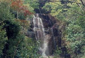 净慧寺 净慧寺