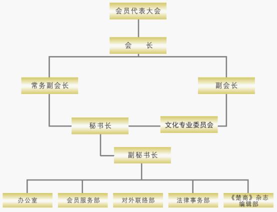 湖北省企业发展促进会组织结构图 湖北省企业发展促进会组织结构图
