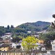 石马村(浙江省龙泉市龙渊街道石马村)