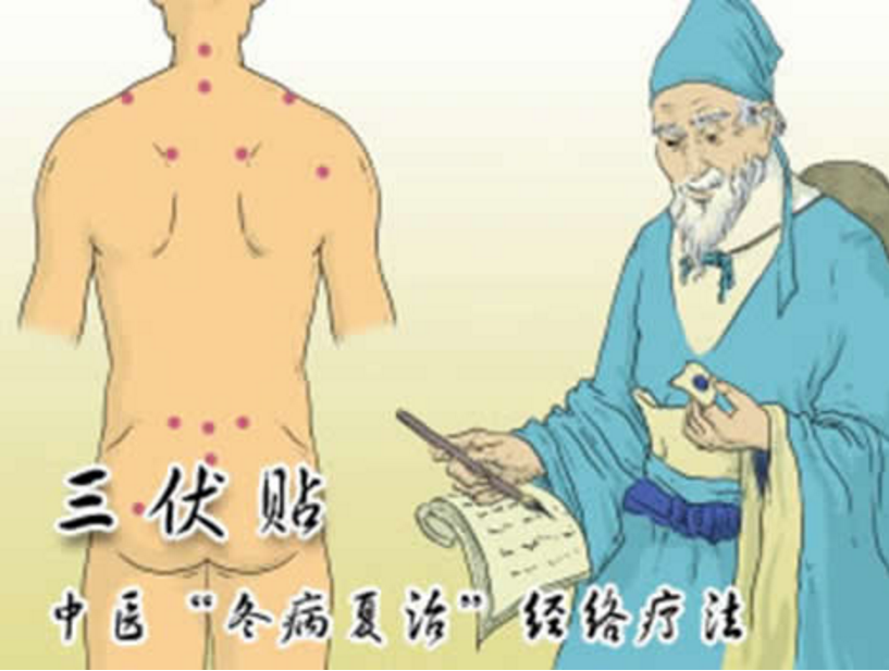 三伏贴