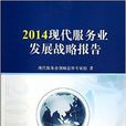 2014现代服务业发展战略报告