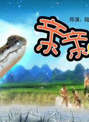 曹秋根