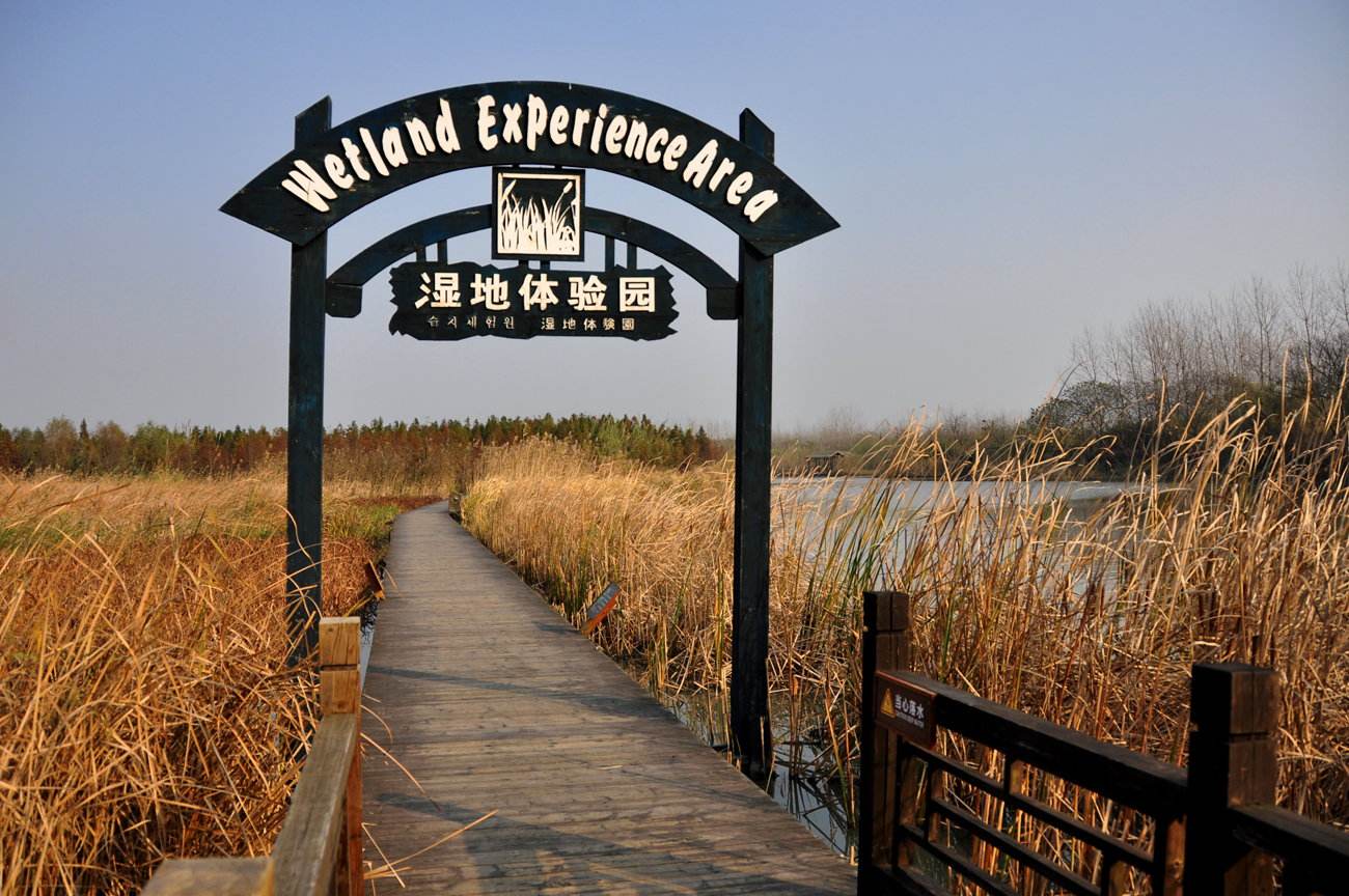 溱湖国家湿地公园 溱湖国家湿地公园
