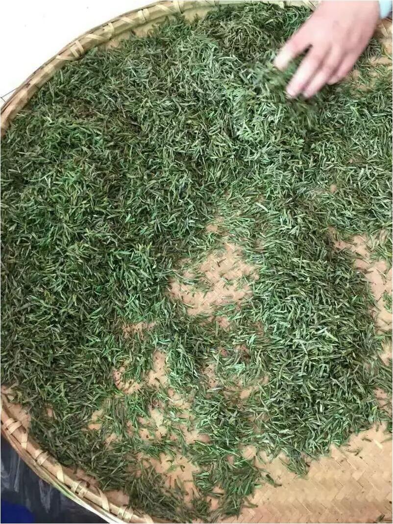 龙池香尖(龙池香尖茶)