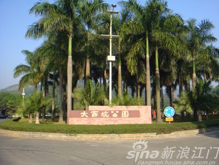大西坑公园抢劫事件
