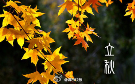 立秋 立秋