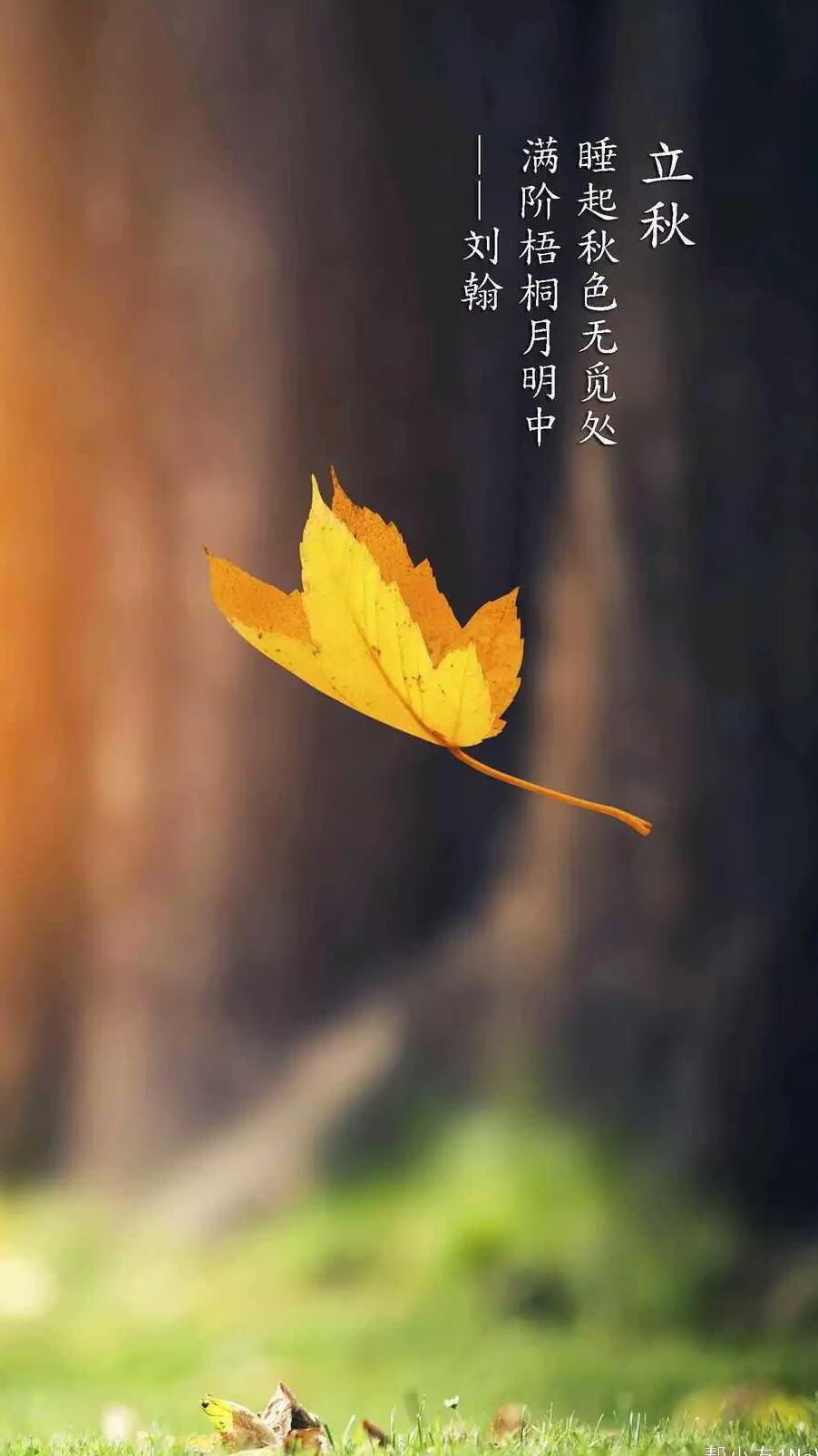 立秋