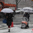 美国遭暴风雪袭击事件