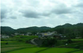谷罗山乡 谷罗山乡