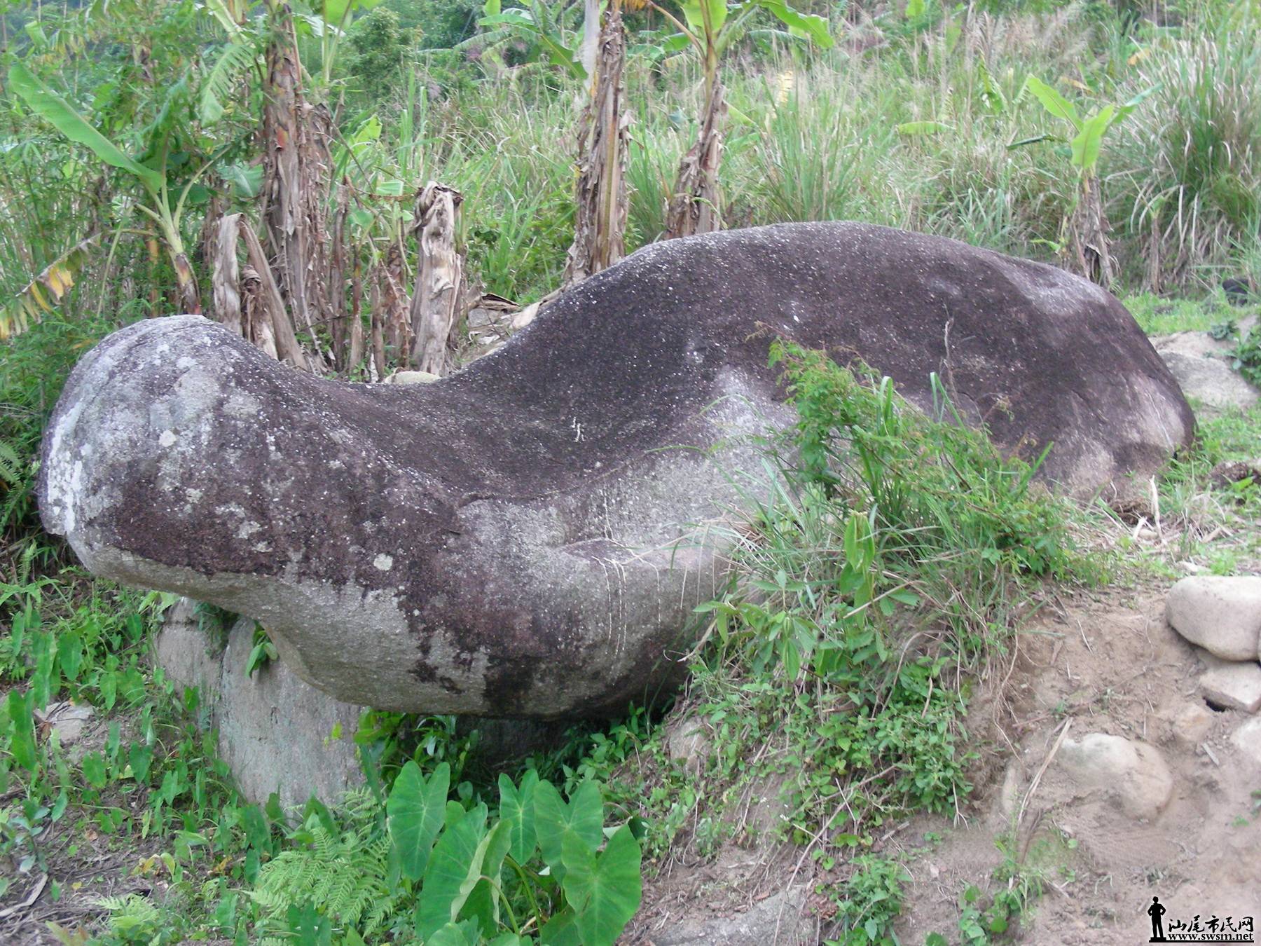 陆河南房村 陆河南房村