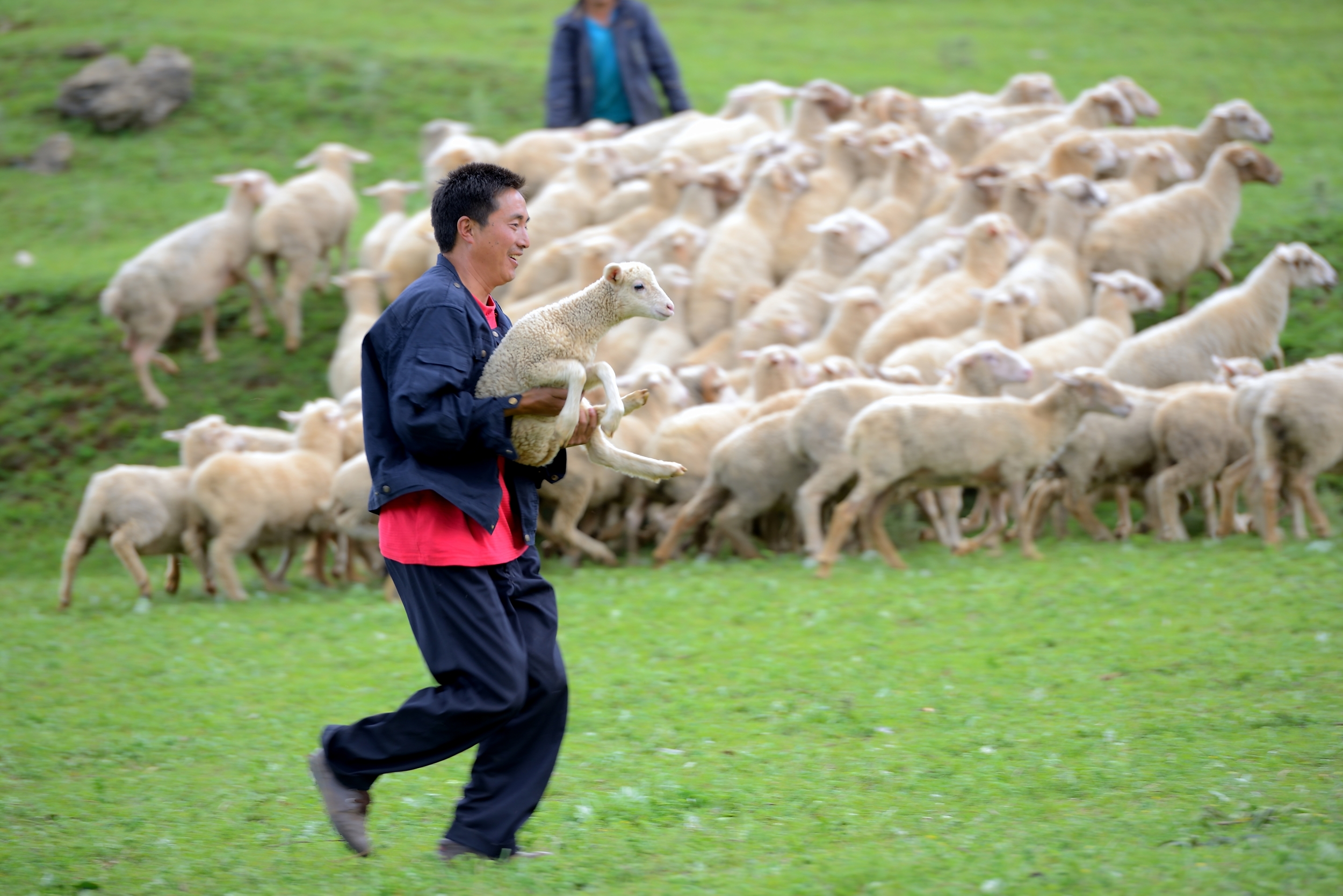 会东县 会东县