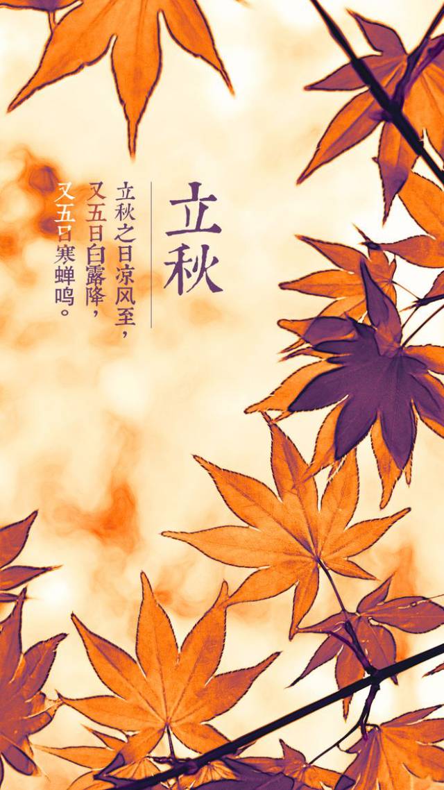 立秋三候 立秋三候