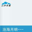 沧海月明问情