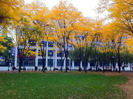 纽大工学院校园 纽大工学院校园