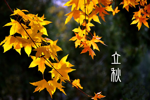 立秋(左河水的节气诗)